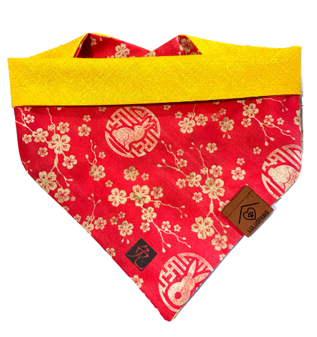 Year of the Rabbit 2023 Lunar New Year