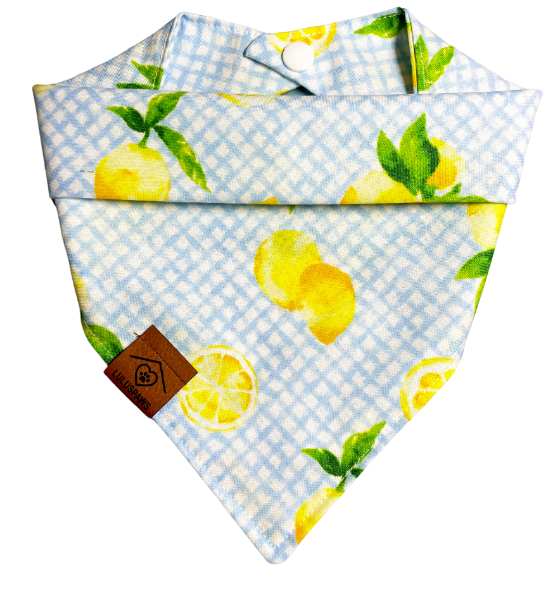 When life gives you lemons..