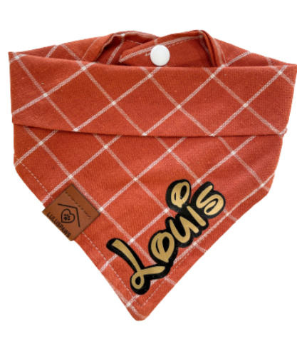 Orange You Glad It's Fall