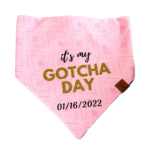 Gotcha Day Pink