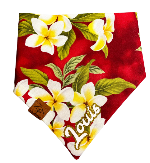 Alexa, take me to Hawaii